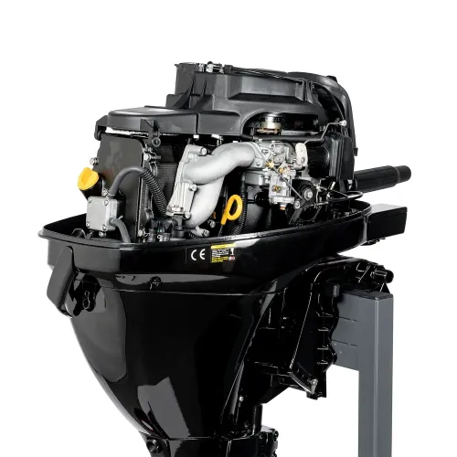 F9.9BMS