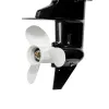 F9.8BMS