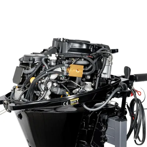 F20ABWS-EFI
