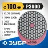 ЗУБР 100 мм, №3000, сухое шлифование, алмазный гибкий шлифовальный круг АГШК, Профессионал (29868-3000)