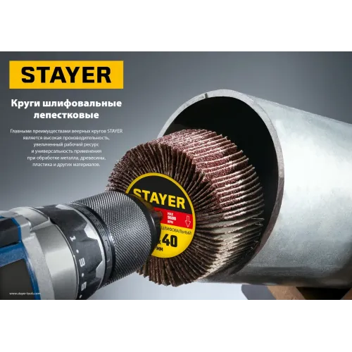 STAYER d 50 x 20 мм, P60, на шпильке d 6 мм, круг шлифовальный лепестковый (36607-060)