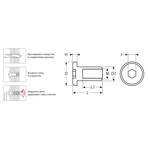 ЗУБР M6 x 12 мм, шест. 4 мм, цинк, 5 кг, гайка Эриксона с плоской головкой, Профессионал (303770-4)