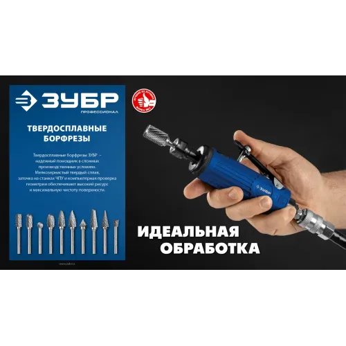 ЗУБР 10 шт набор борфрез твердосплавных, хв-к 3 мм, ПРОФЕССИОНАЛ (28816-H10)