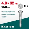 KRAFTOOL DS-P, 32 х 4.8 мм, А2, сверло, полукруглая головка, ТХ25, 250 шт, саморез нержавеющий (300931-48-032)