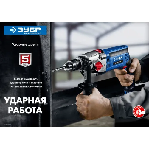 ЗУБР 850 Вт, 13 мм, 2 скорости, ударная дрель, мет. корпус, кейс, Профессионал (ДУ-П850 ЭРМ)