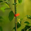 Скобы для тапенера садового, 4 мм, 10 000шт. Palisad